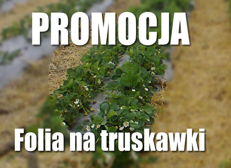 folia_na_truskawki